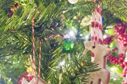 Homemade Tree Ornaments