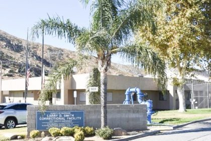 Felon Dies in Custody