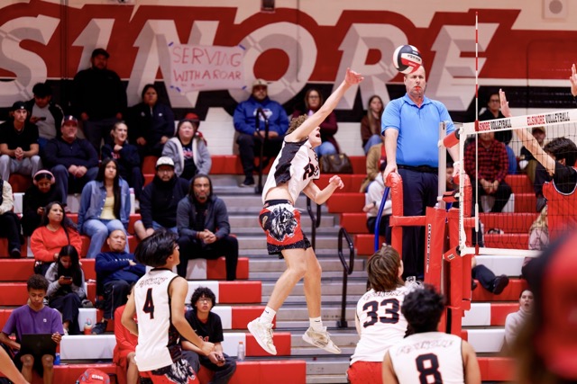 A Tiger spikes the Ball