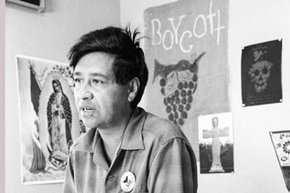 Cesar Chavez, a farm worker, labor organizer and leader of the California grape strike, is seen in a California office in 1965.  Credit: AP Photo, George Brich, File