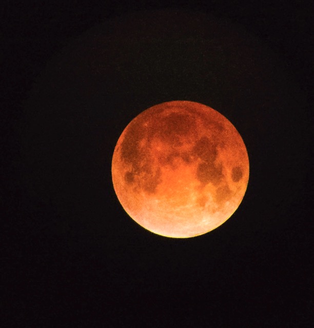The Lunar Eclipse as seen in the Inland Empire, Tuesday Morning March 3rd at 3:29 AM. During a total lunar eclipse, the moon appears to take on a red hue, giving rise to "blood moon". This was the last total lunar eclipse anywhere on Earth until New Year's Eve 2028-2029.
Credit: Photo by Gary Evans using a Celestron Omni AZ-102 telescope.