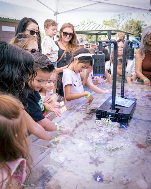 Clara Jones, center with headband, touches sea creatures in a traveling tidepool at the Menifee Wildlife Appreciation Day Event on March 14th in Central Park.
