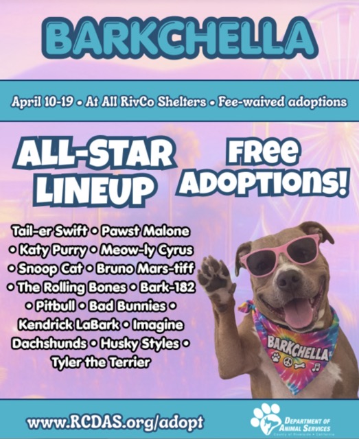 Barkchella
