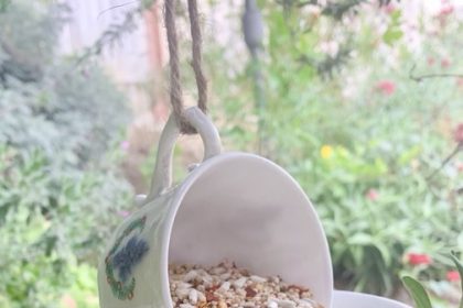 Bird Feeder