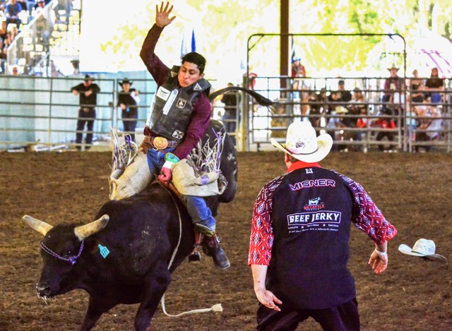 Rider Jesse Flores hangs on while losing his hat, and Bull Fighter Koltyn Misner stands ready to assist during the bull riding competition at the Norco Horse Week Rodeo last Sunday.