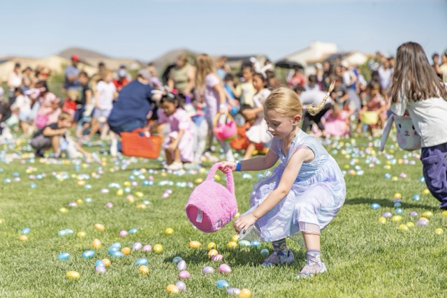 Kids scoop up Easter eggs at the Menifee Spring Fest on Saturday March 28th.