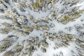 Snowpack in California. An aerial view of snow-capped trees after a winter snowstorm near Soda Springs on Feb. 20, 2026. Credit: Photo by Stephen Lam, San Francisco Chronicle via Getty Images