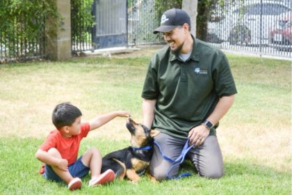 Animal Euthanasia