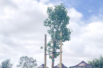 Perris Upholds Urban Forestry