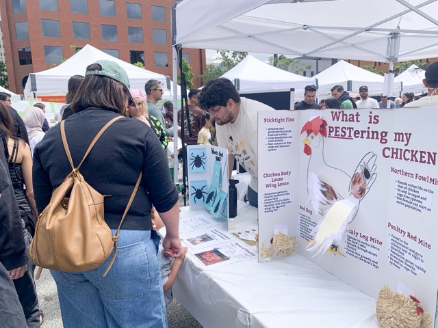 Fleas, ticks, and mites were all featured at the urban entomology section of the fair.
Credit: Mia Rotell