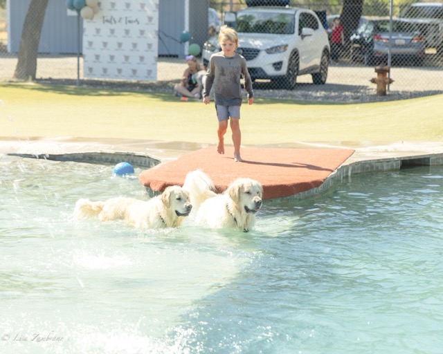 Pups and kiddos enjoyed the Tails and Tacos Catering’s 6th Annual Pool Party Charity Event at the Country Kennels Splash Park in Murrieta, CA, Saturday May 2, 2026.