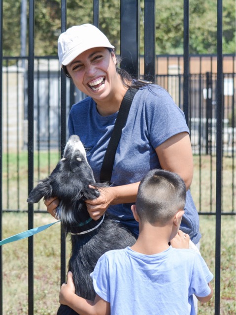 Shelter Pet Euthanasia. RCDAS