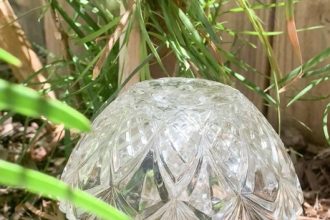 Glass ʻrooms