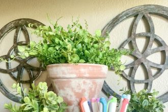 Whitewashed Weathered Terracotta Pots
