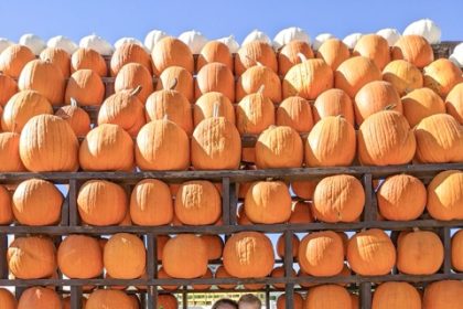 2026 Halloween Guide in the Inland Empire