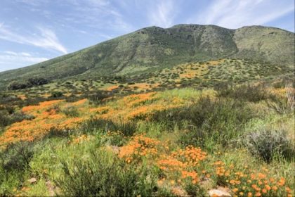 Hidden Valley Wildlife Area, east of Norco