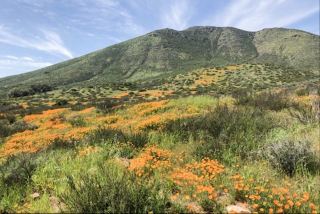 Hidden Valley Wildlife Area, east of Norco