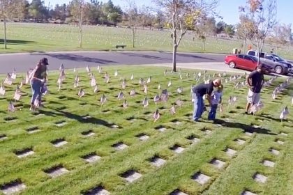 Veterans Day Weekend Flag Placement. Flag Placement Riverside National Cemetery