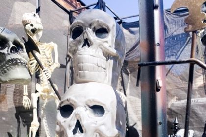 Skeleton