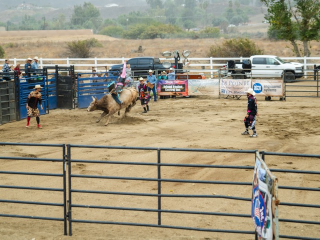 A ridinʻ cowboy hangs on as he battles a buckinʻ bull during the bull riding event at the Way Out West Fest